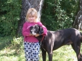 Hundebetreuung
