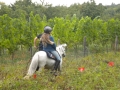 Pony-Reiten